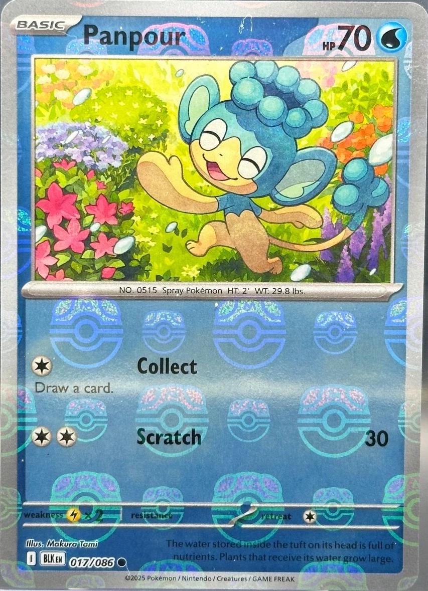 Black Bolt Panpour [Master-Ball] Pokémon card